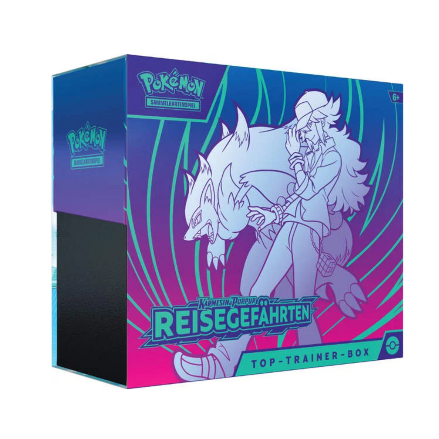 Pokemon Top Trainer Box Reisegefährten